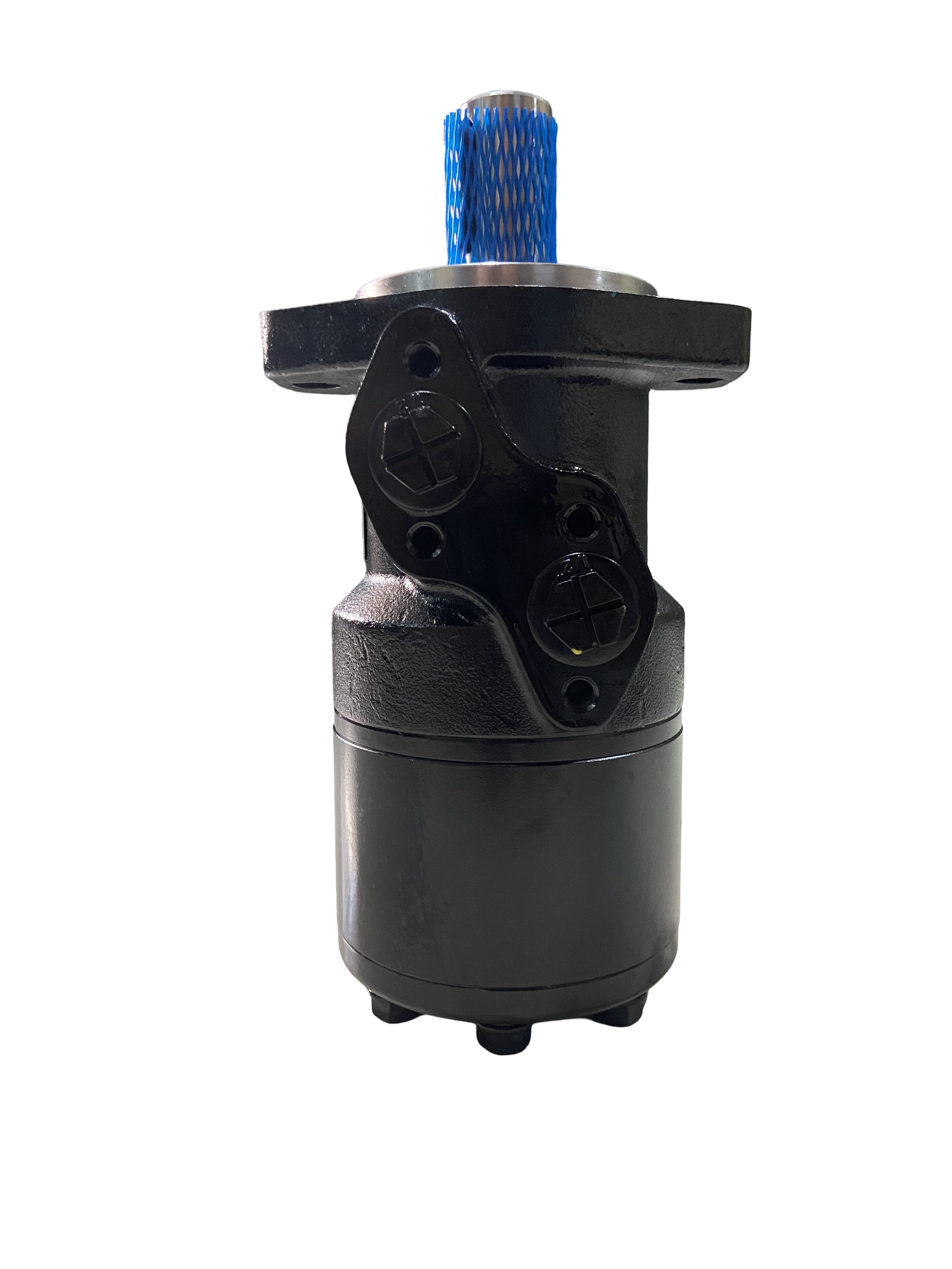 Hydraulic gear motor